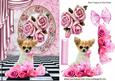 Cute Chihuahua with Pink Roses