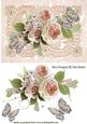 Pretty Peach Rose and Butterflies on Vintage Lace