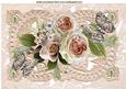 Pretty Peach Rose and Butterflies on Vintage Lace A4