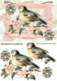 Song Bird with Peach Flowers and Jewels