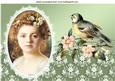 Pretty as a Pic with Little Bird, Peach Flowers A4