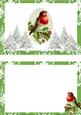 Red Robin with Christmas Trees A5 Insert