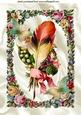 Vintage Feather with Bow in Rose Frame A4