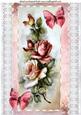 Shades of Pink Roses with Broderie Anglaise A4