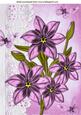 Pretty Pink Flowers on Broderie Anglaise A4