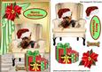 Little Yorkie Terrier in Santa Hat in a Chair