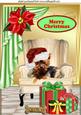 Little Yorkie Terrier in Santa Hat in a Chair A4