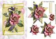 Pretty Pink Star Pyramid Roses on a Scroll
