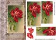 Red Rose on Music with Bow Pyramids