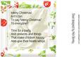 Lovely Christmas 8x8 Insert with Verse