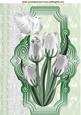 White Tulips and Doves on Lace on a Plaque A4