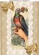 Vintage Bird on a Hand with Ecru Lace & Bows A4