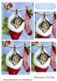 Sleepy Kitten in Santa Stocking Pyramids