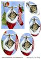 Sleepy Kitten in Santa Sock Oval Pyramids