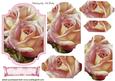 Pink Roses in Frame Bracket Pyramids