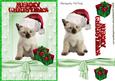 Cute Kitty in Santa Hat with Pressies