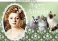Vintage Lady with Kittens A4