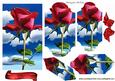 Red Rose on White Clouds Bracket Pyramids