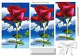 Red Rose on White Clouds Pyramids