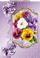 Pretty Coloured Pansies with Bows A4