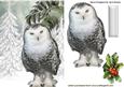 Snowy White Owl in Snow Scene