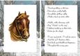 Horse in a Field of Snow A5 Insert with Verse
