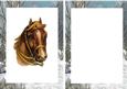 Horse in a Field of Snow A5 Insert