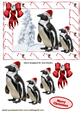 Penguins in Santa Hats in Candy Cane Frame