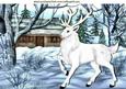 White Stag with Cottage in the Snow A4