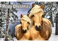 Beautiful Palomino Mum and Foal in the Snow A4