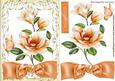 Peaches & Cream , Pretty Magnolias with Bow