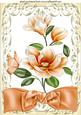 Peaches & Cream, Pretty Magnolias with Bow A4