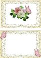 Pink and White Roses A5 Insert