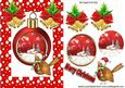Christmas Snow Scene Bauble with Robin