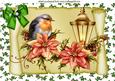 Robin with Poinsettias on a Scroll A4