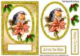 Robin Glitter Topper with Poinsettias & Card