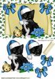 Black Kitten in Blue Santa Hat on a Scroll
