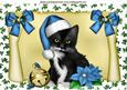 Black Kitten in Blue Santa Hat on a Scroll A4