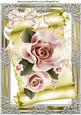 Peach Roses on a Scroll with Bow A4