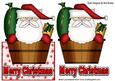 Santa in a Tub, Over the Edge Card