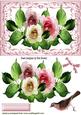 Pink Shades of Summer Roses in Ornate Frame