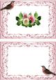 Pink Shades of Summer Roses A5 Insert