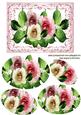 Shades of Pink Summer Roses Oval Pyramids
