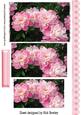 Pretty Pink Peonies with Lace Border Pyramids