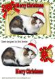 Kitty in Santa Hat on a Scroll with Bow