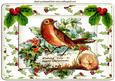 Little Robin on a Log with Holly A4