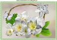 Pretty Basket of White Flowers and Butterflies A4