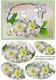 Basket of White Flowers & Butterflies Oval Pyramids