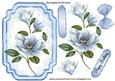 Pretty Blue Magnolia on Lace with Bow