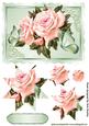 Pretty Pink Roses with Butterflies Star Pyramids